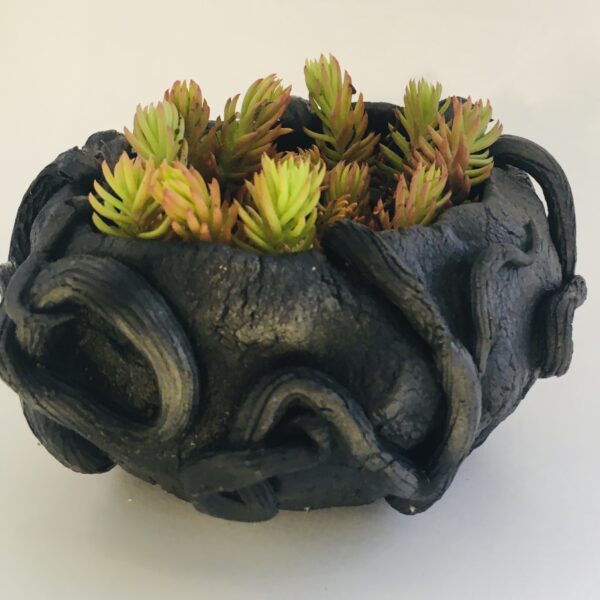 pots de plantes
